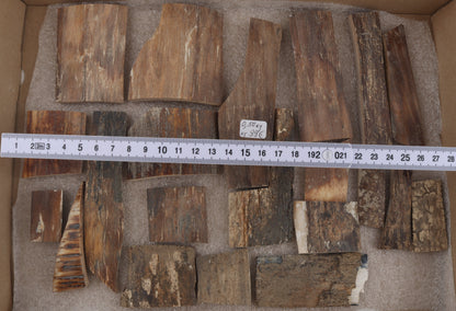 Natural mammoth bark pieces