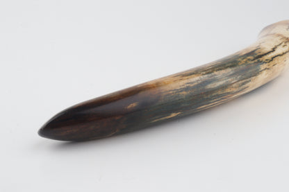 Restored woolly mammoth tusk tip