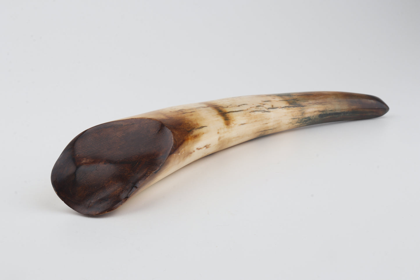 Restored woolly mammoth tusk tip