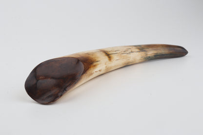 Restored woolly mammoth tusk tip