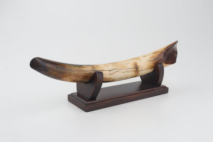 Restored woolly mammoth tusk tip