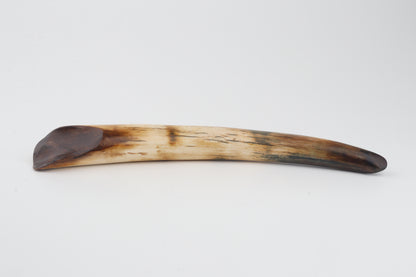 Restored woolly mammoth tusk tip