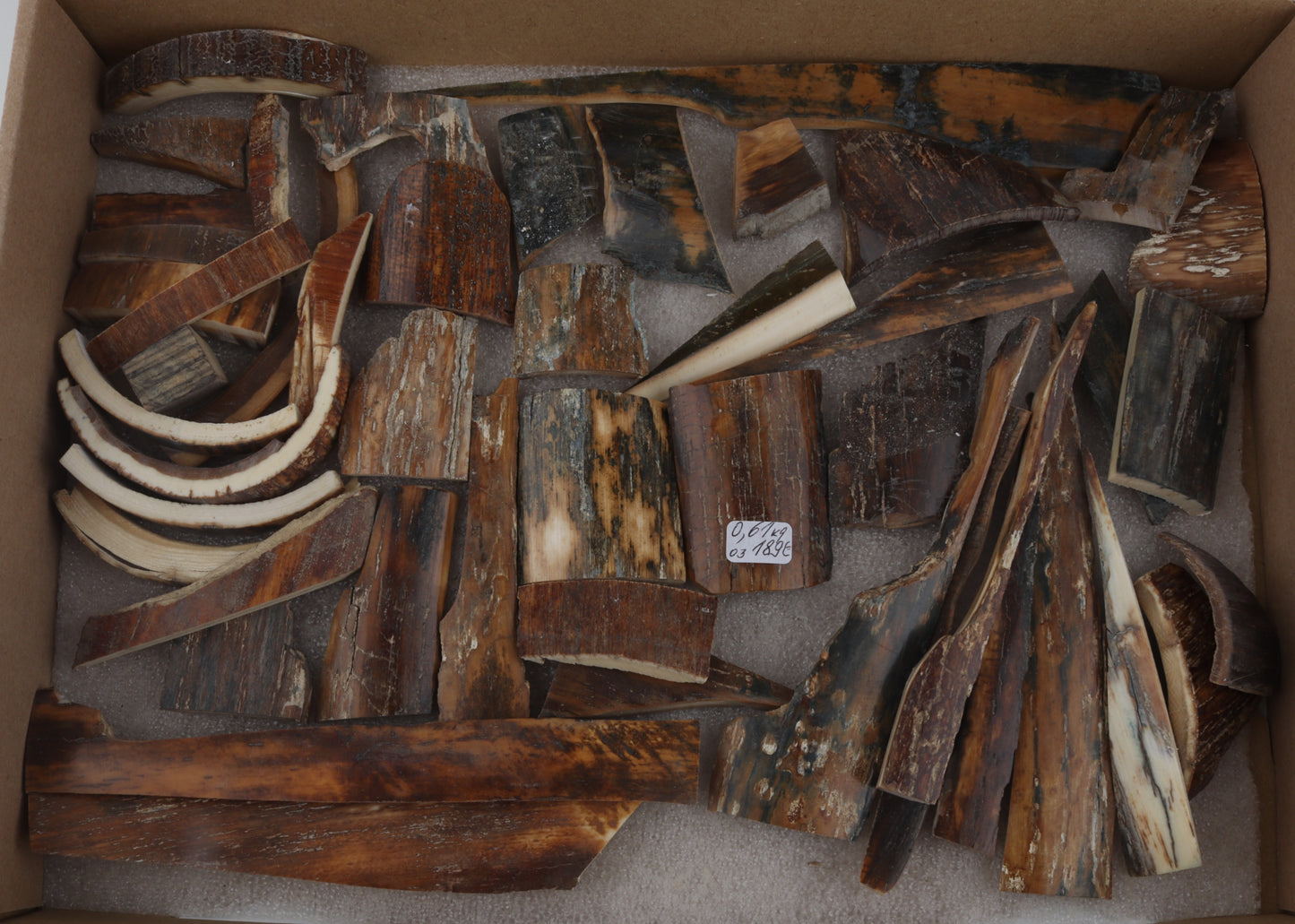 Natural mammoth bark pieces