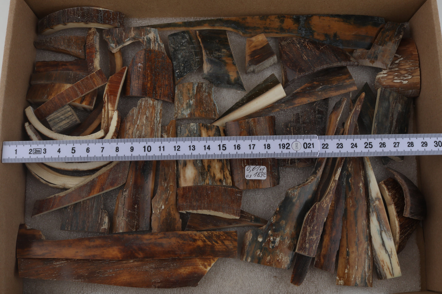 Natural mammoth bark pieces