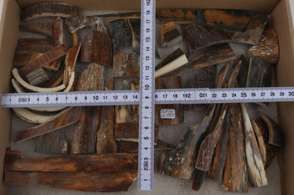Natural mammoth bark pieces