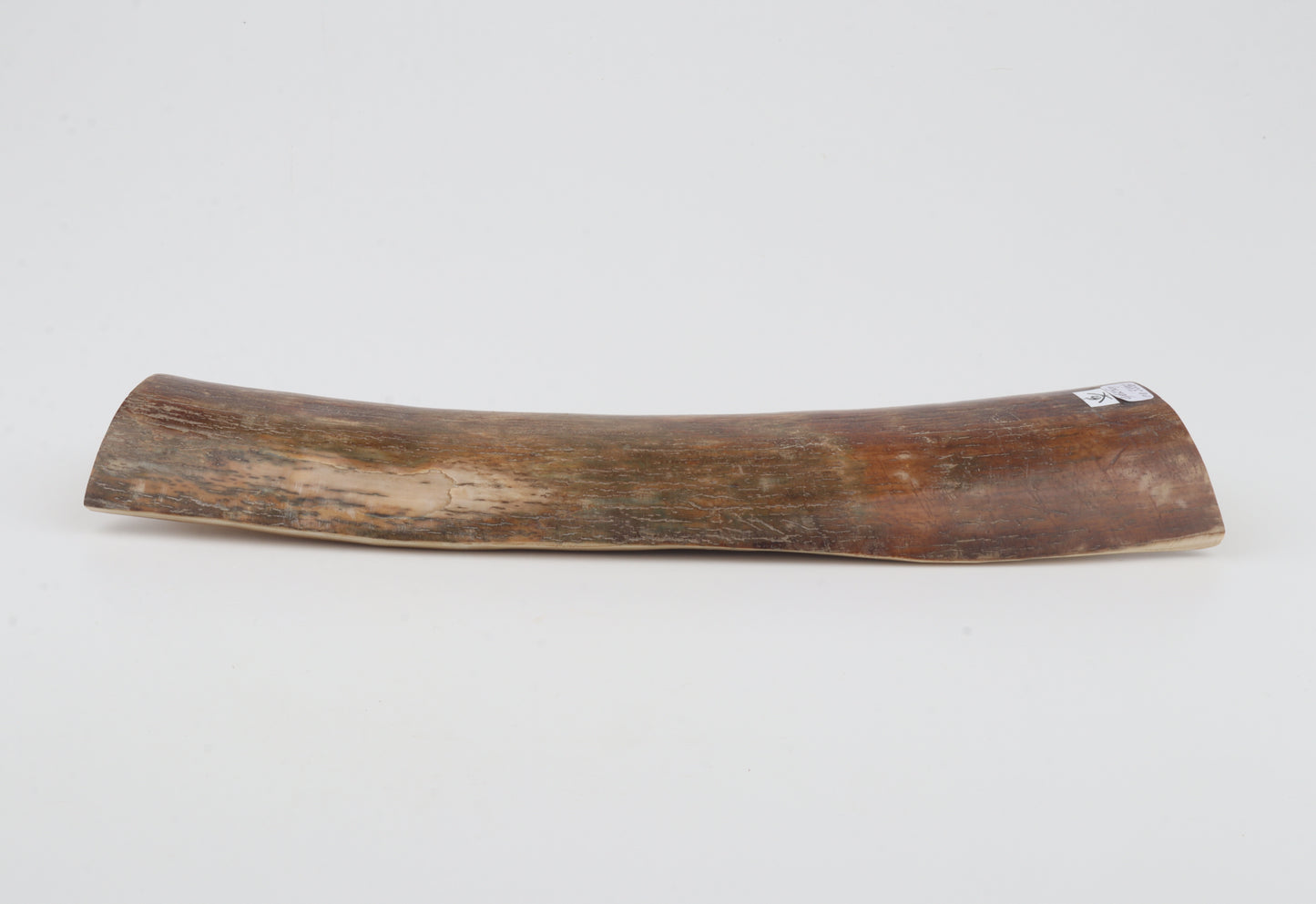 Brown-red mammoth bark