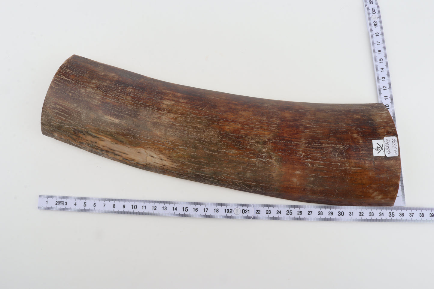 Brown-red mammoth bark