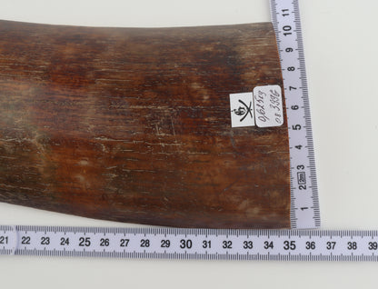 Brown-red mammoth bark