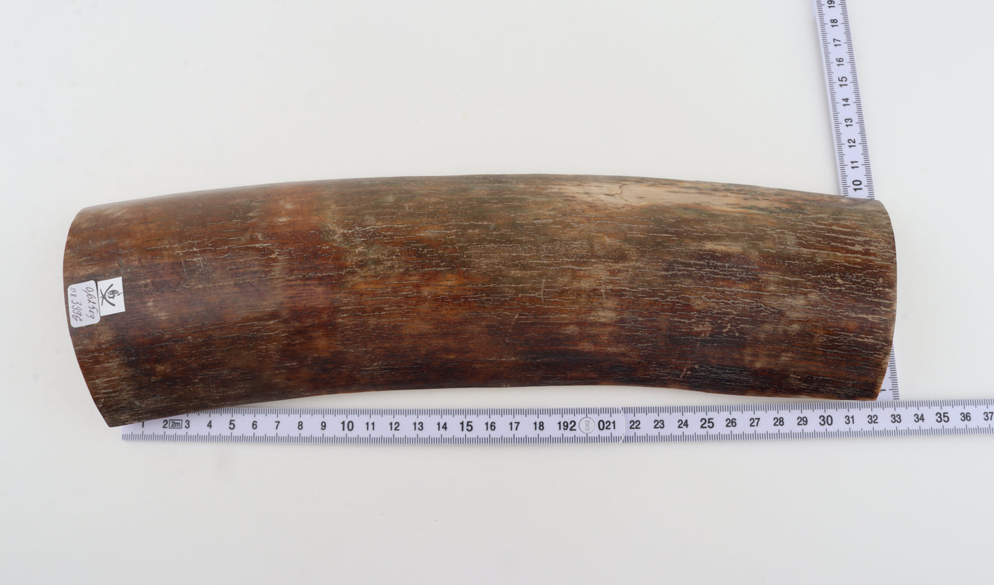 Brown-red mammoth bark