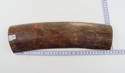 Brown-red mammoth bark