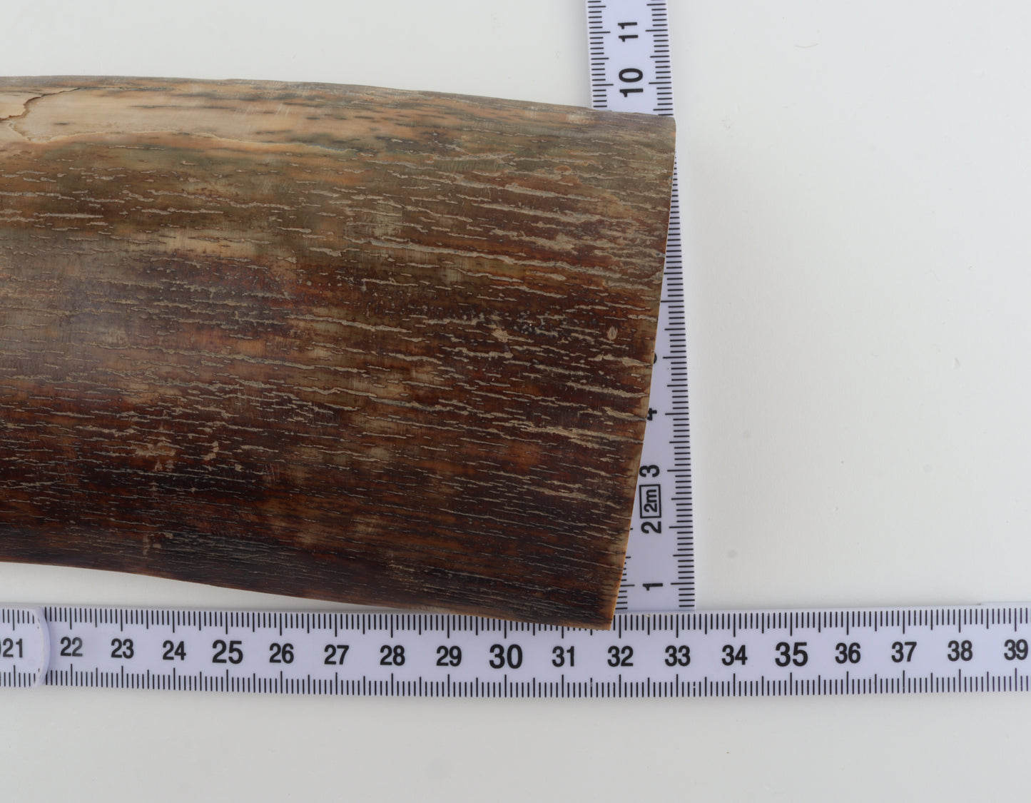 Brown-red mammoth bark