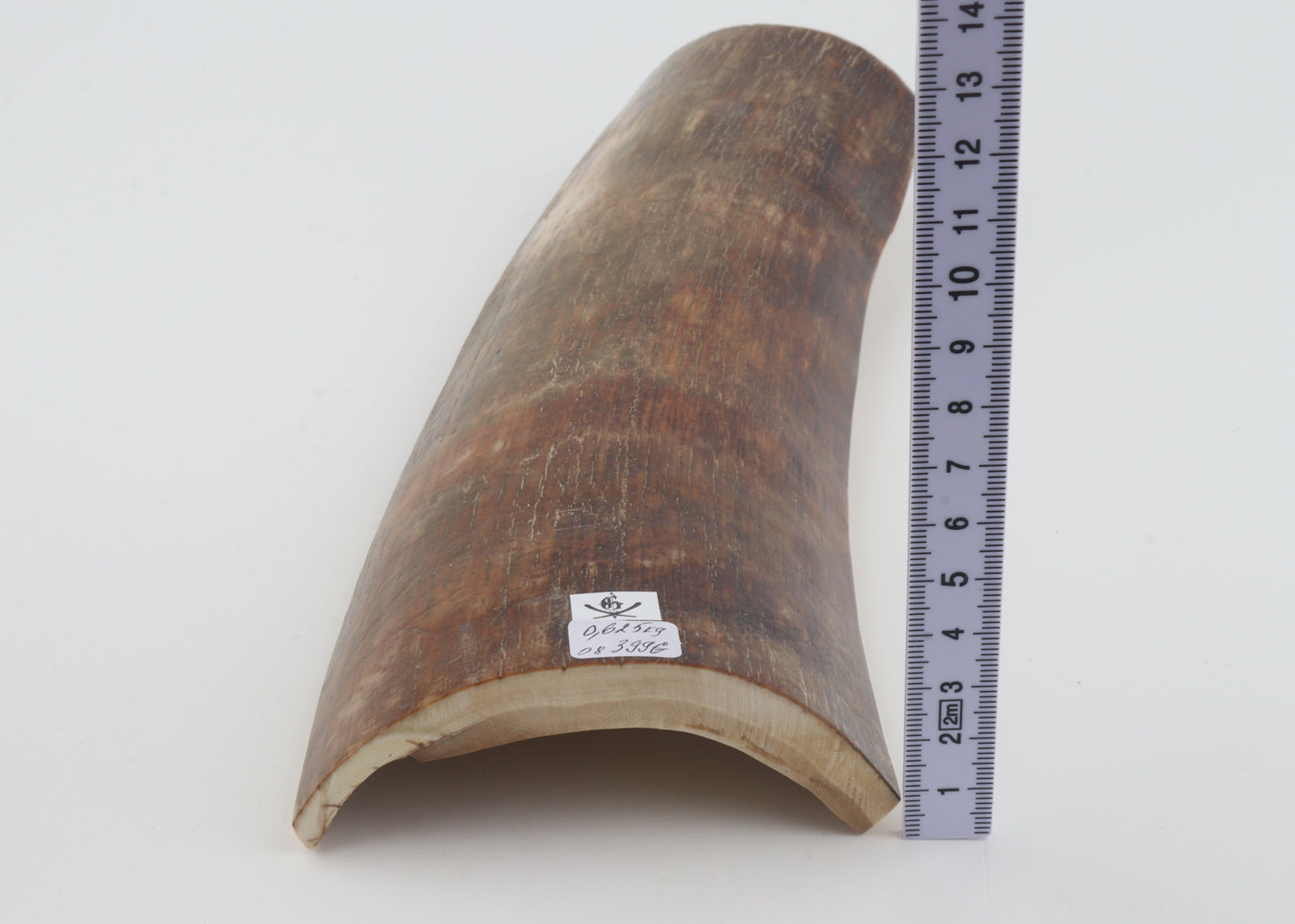 Brown-red mammoth bark