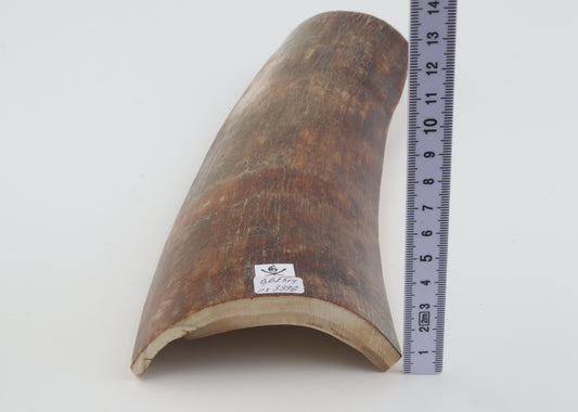 Brown-red mammoth bark