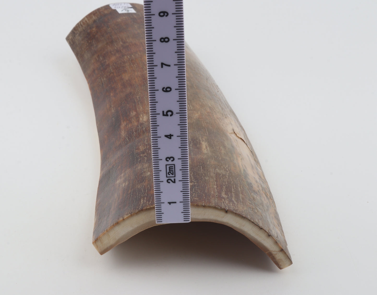 Brown-red mammoth bark