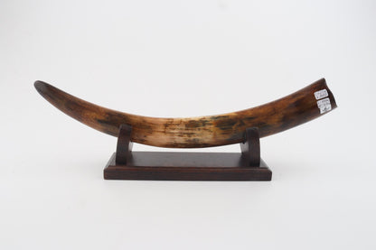 Restored woolly mammoth tusk