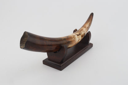Restored woolly mammoth tusk