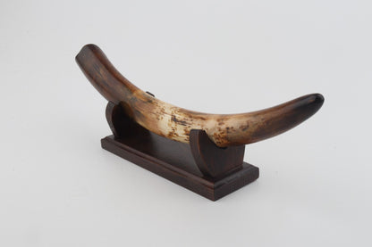 Restored woolly mammoth tusk