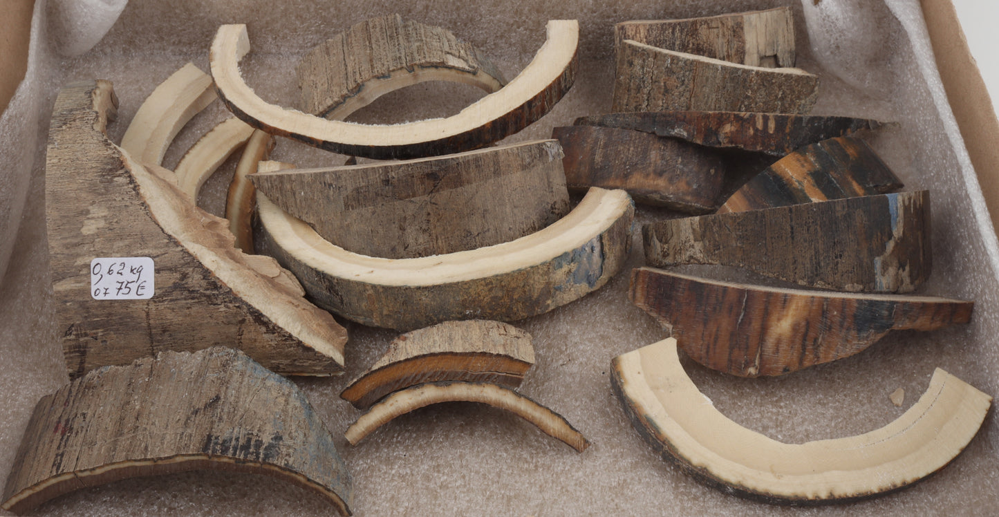 Raw mammoth ivory offcuts