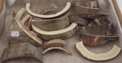 Raw mammoth ivory offcuts