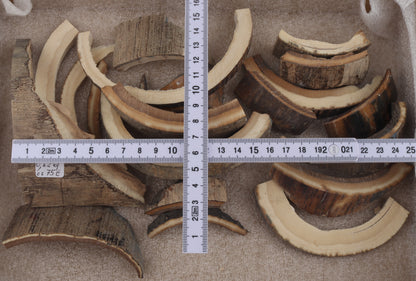 Raw mammoth ivory offcuts