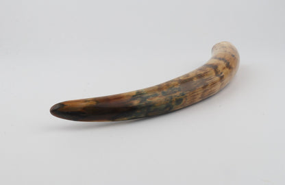 Restored mammoth tusk tip