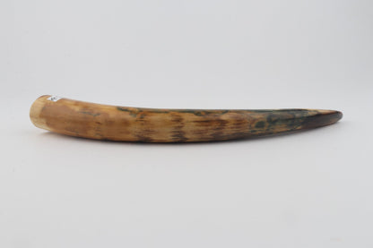 Restored mammoth tusk tip