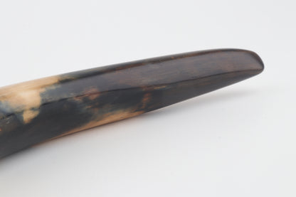 Restored woolly mammoth tusk