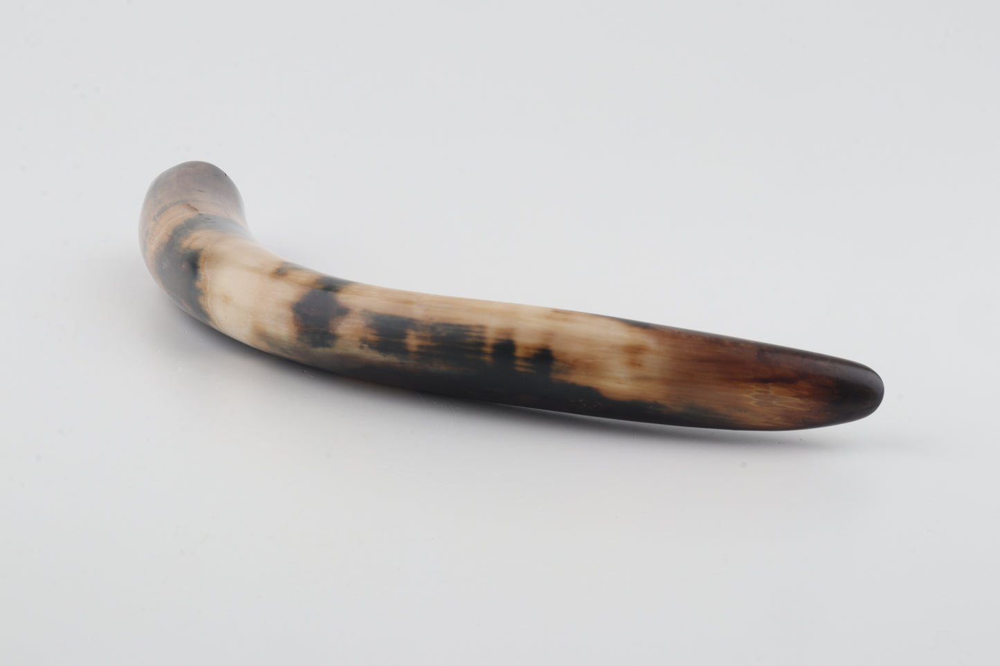 Restored woolly mammoth tusk