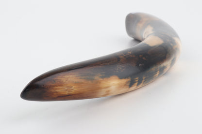 Restored woolly mammoth tusk