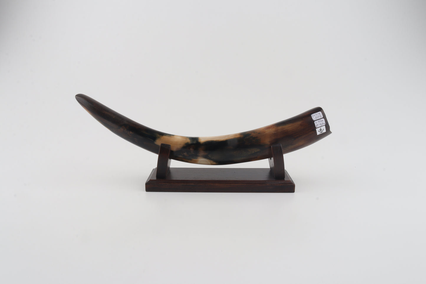 Restored woolly mammoth tusk