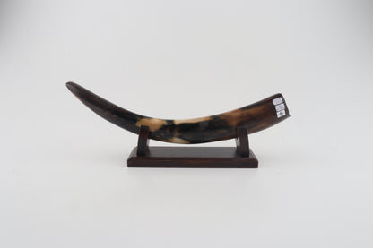 Restored woolly mammoth tusk