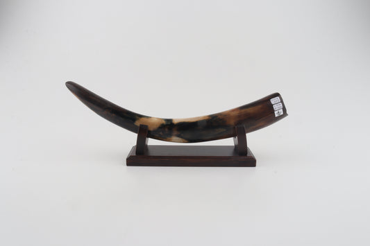 Restored woolly mammoth tusk