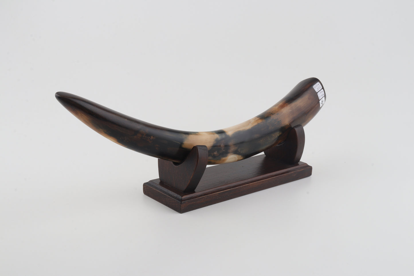 Restored woolly mammoth tusk