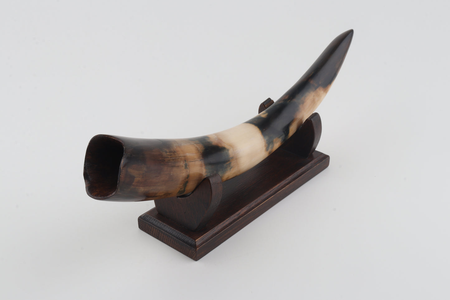 Restored woolly mammoth tusk