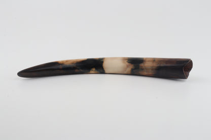 Restored woolly mammoth tusk