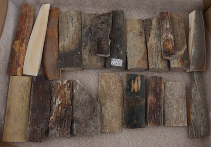 Raw woolly mammoth bark pieces