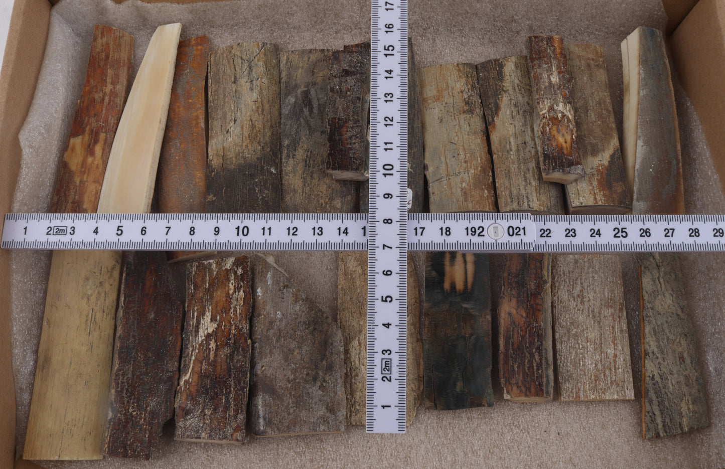 Raw woolly mammoth bark pieces