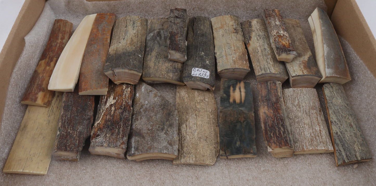 Raw woolly mammoth bark pieces