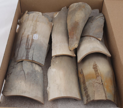 Untreated mammoth ivory pieces