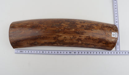 Mustard mammoth bark
