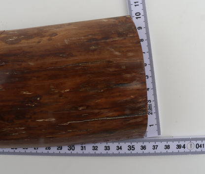 Mustard mammoth bark