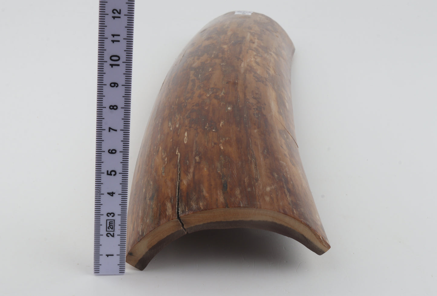 Mustard mammoth bark