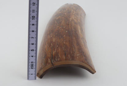 Mustard mammoth bark