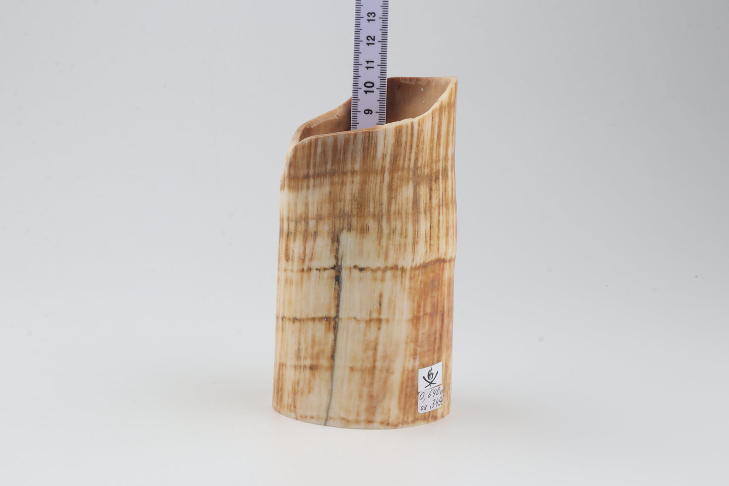 Mammoth tusk base section