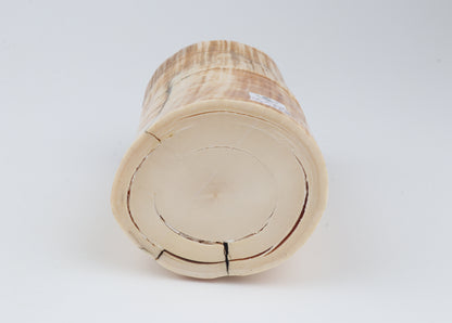 Mammoth tusk base section
