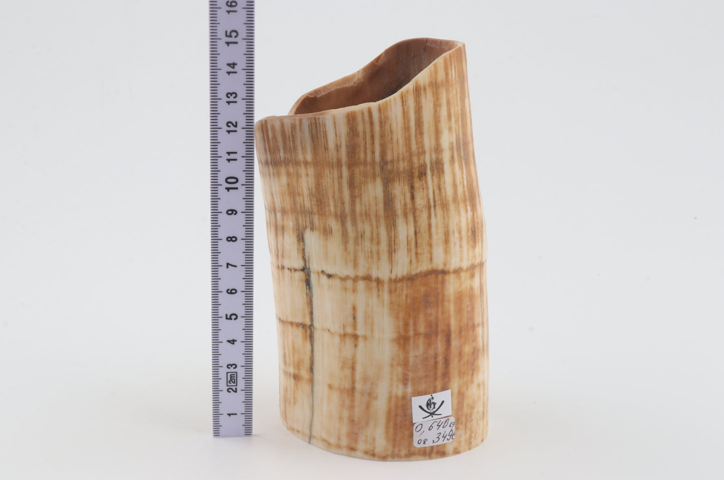 Mammoth tusk base section