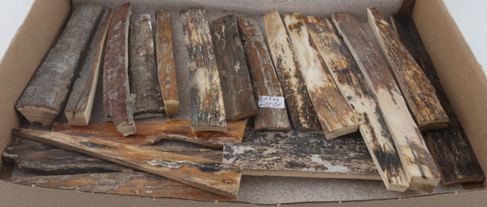 Natural mammoth bark pieces