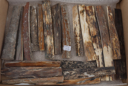 Natural mammoth bark pieces