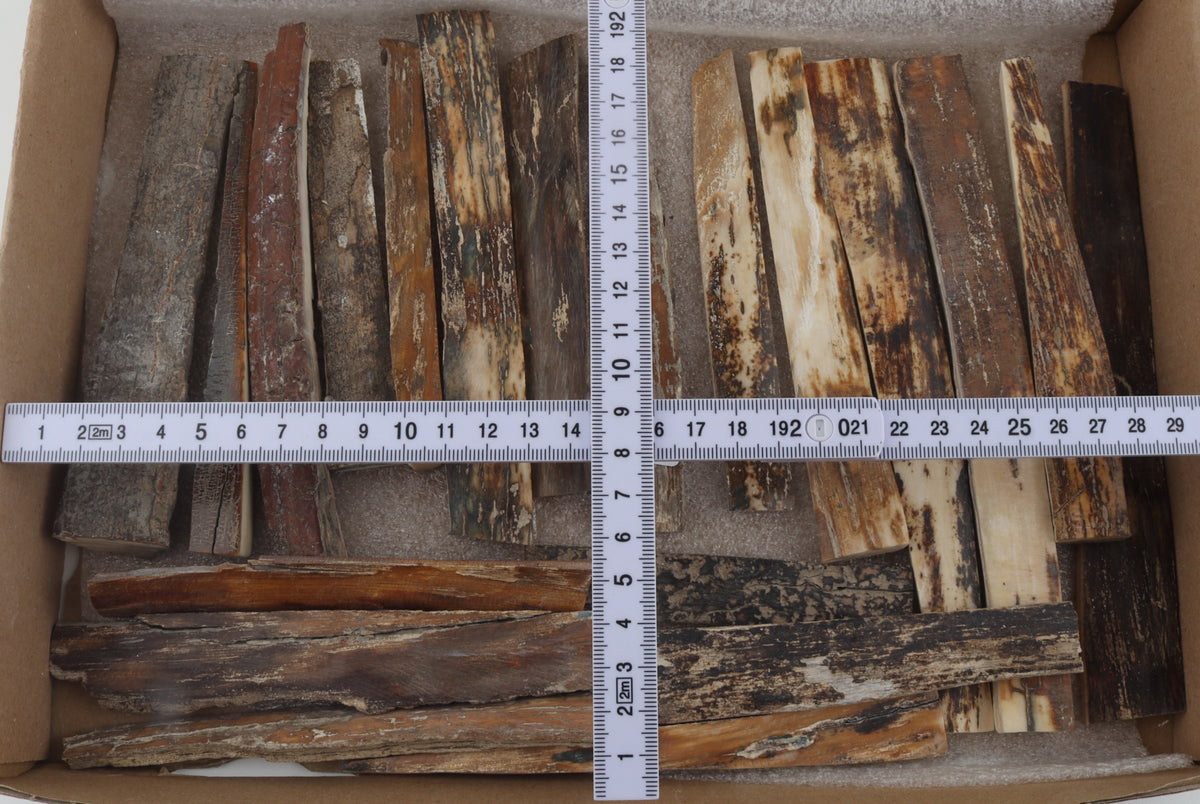 Natural mammoth bark pieces
