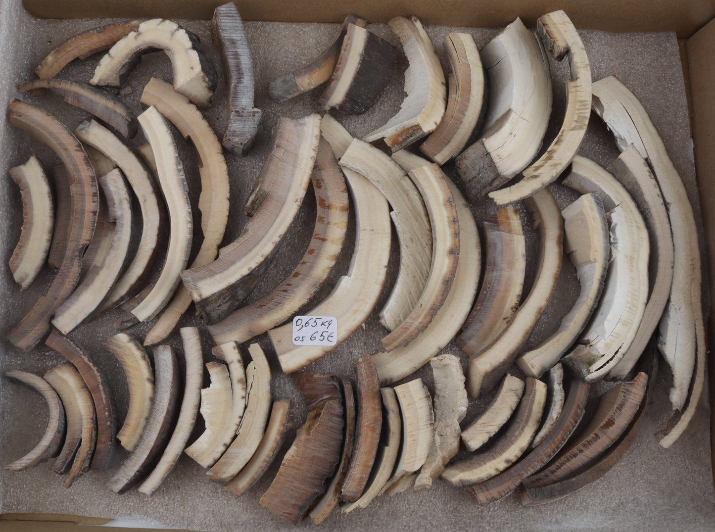 Raw mammoth ivory offcuts